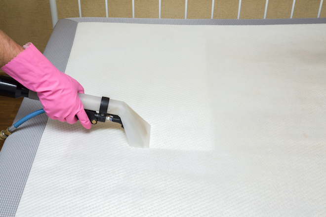 Mattress Cleaning | Chem-Dry Cleaner Carpets | Launceston & Northern  Tasmania